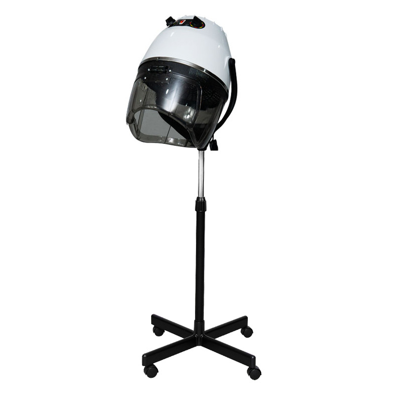 Hair dryer